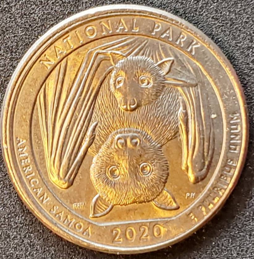 An-Error-Samoa-Quarter-Found-At-The-Laundromat-2020-P