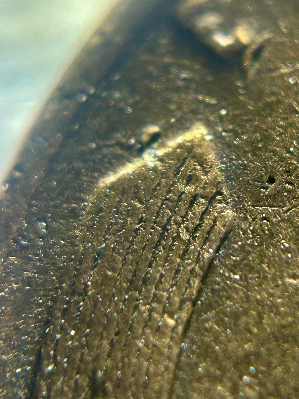 1955-Lincoln-Wheat-Penny-Reverse-Double-Wheat?