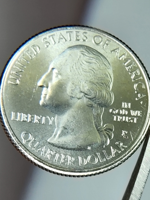 Question-For-Die-Errors-On-2020-Salt-River-Bay-Quarters