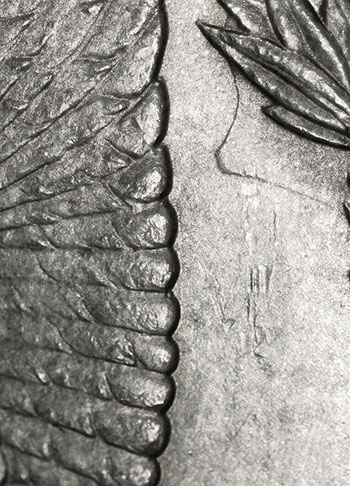 1886-P-Morgan-Silver-Dollar---Trouble-Iding-VAM