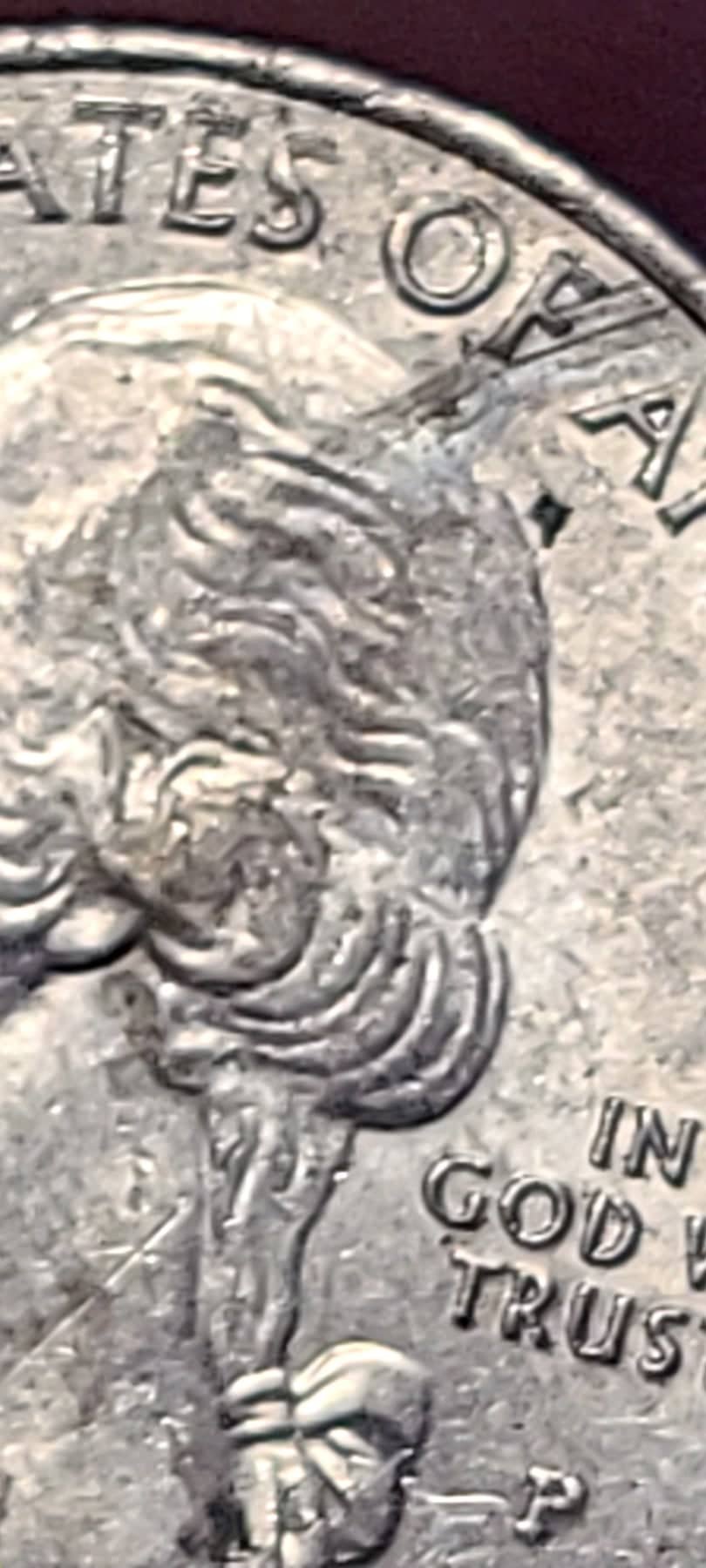 2020-State-Quarter-Oddity