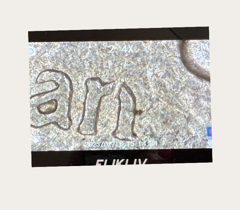 2005-P-Jefferson-Nickel-Error-Question