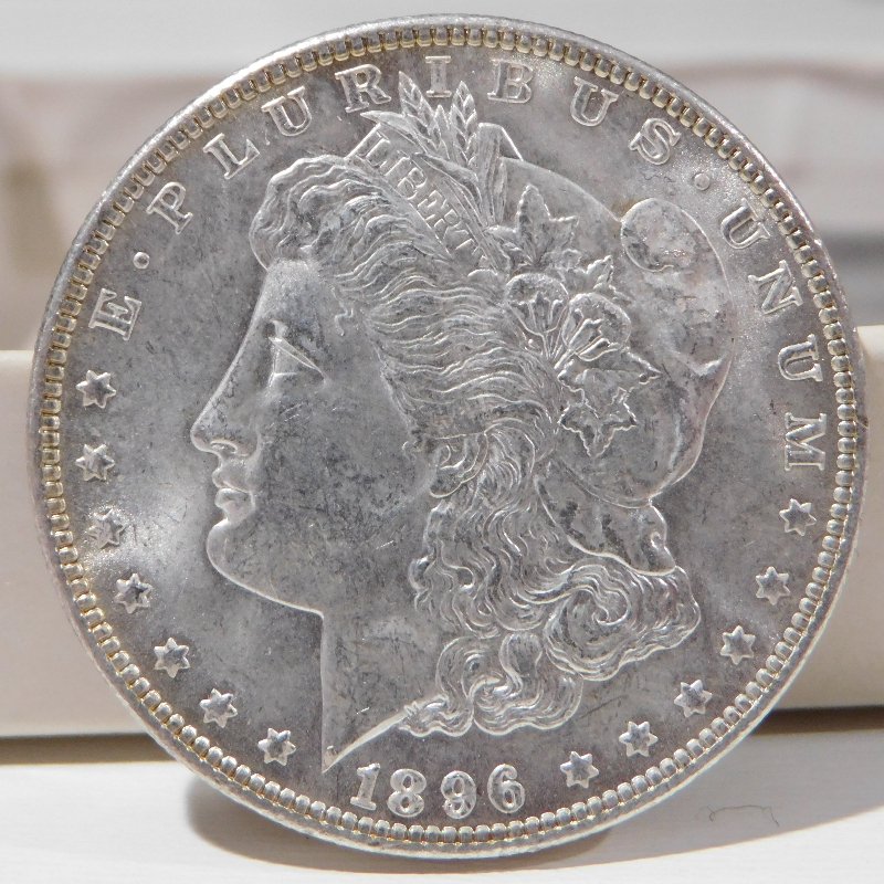 Grade-My-First-Morgan-1896-New-Pictures