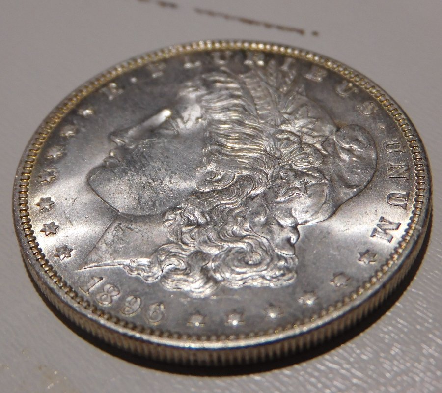 Grade-My-First-Morgan-1896-New-Pictures