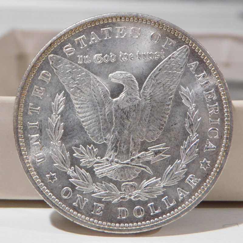 Grade-My-First-Morgan-1896-New-Pictures