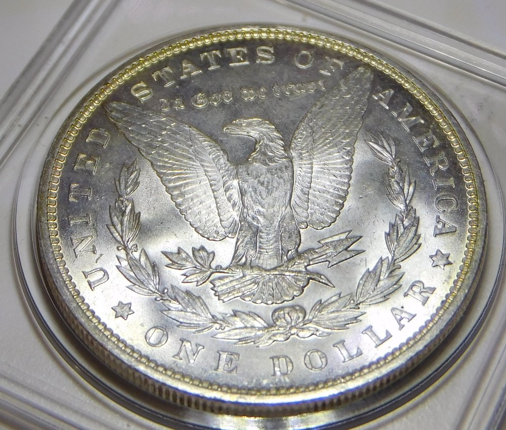 Grade-My-First-Morgan-1896-New-Pictures
