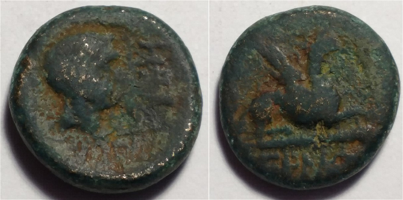 Need-Help-With-ID-Please!