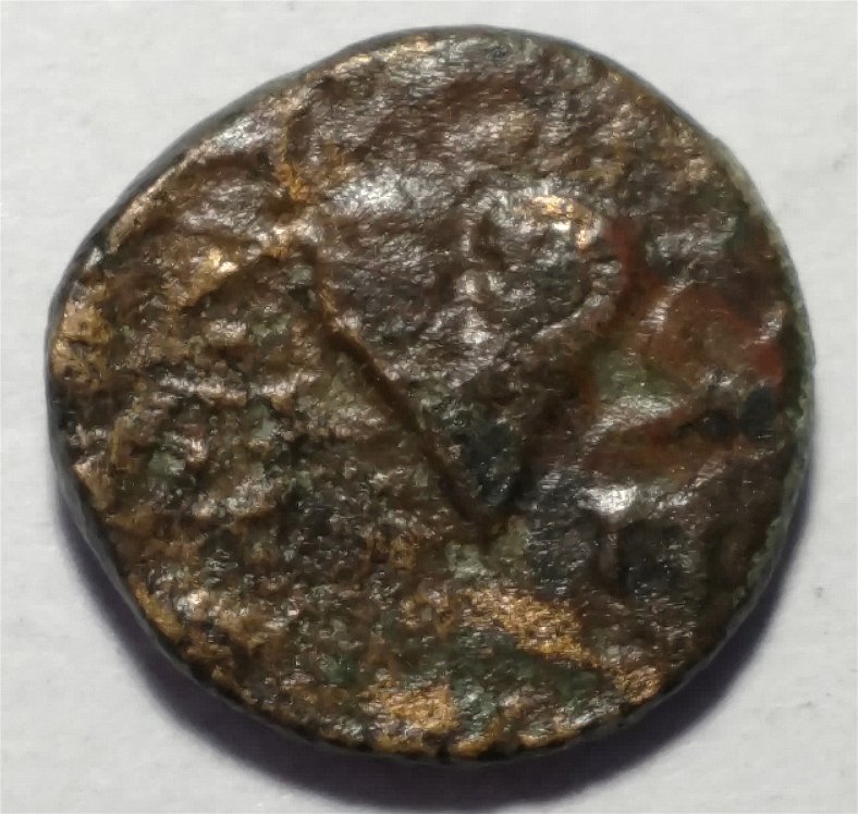 Weird-Looking-Owl-Eyes-Or-A-Heart-On-A-Greek-Coin