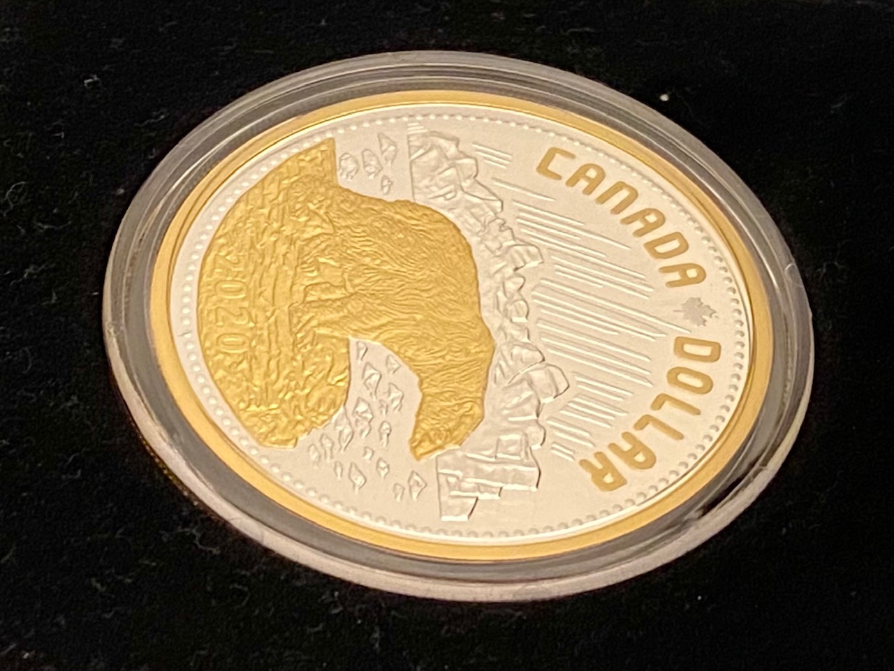 2020-Renewed--Canada-Silver-Dollar...