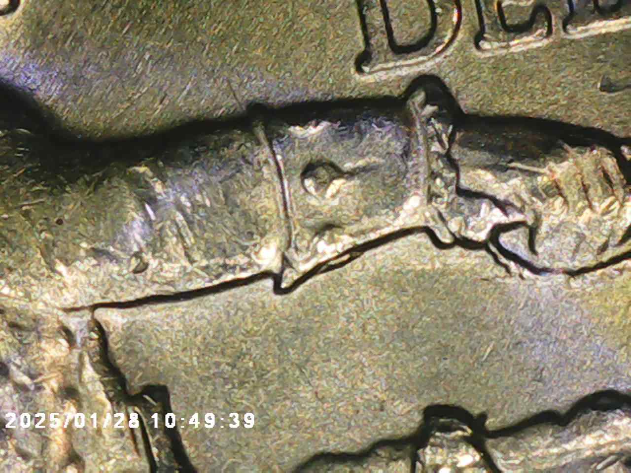 2021-P-Washington-Crossing-The-Delaware-Doubling-On-Glove
