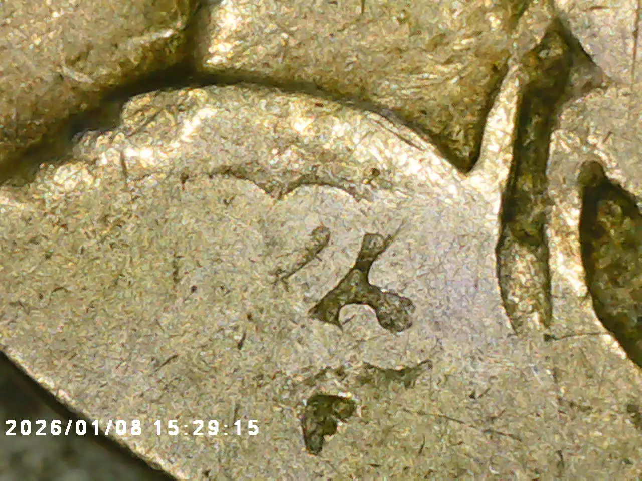 Yldcoin's-Nickel-Coin-Roll-Hunting-Thread