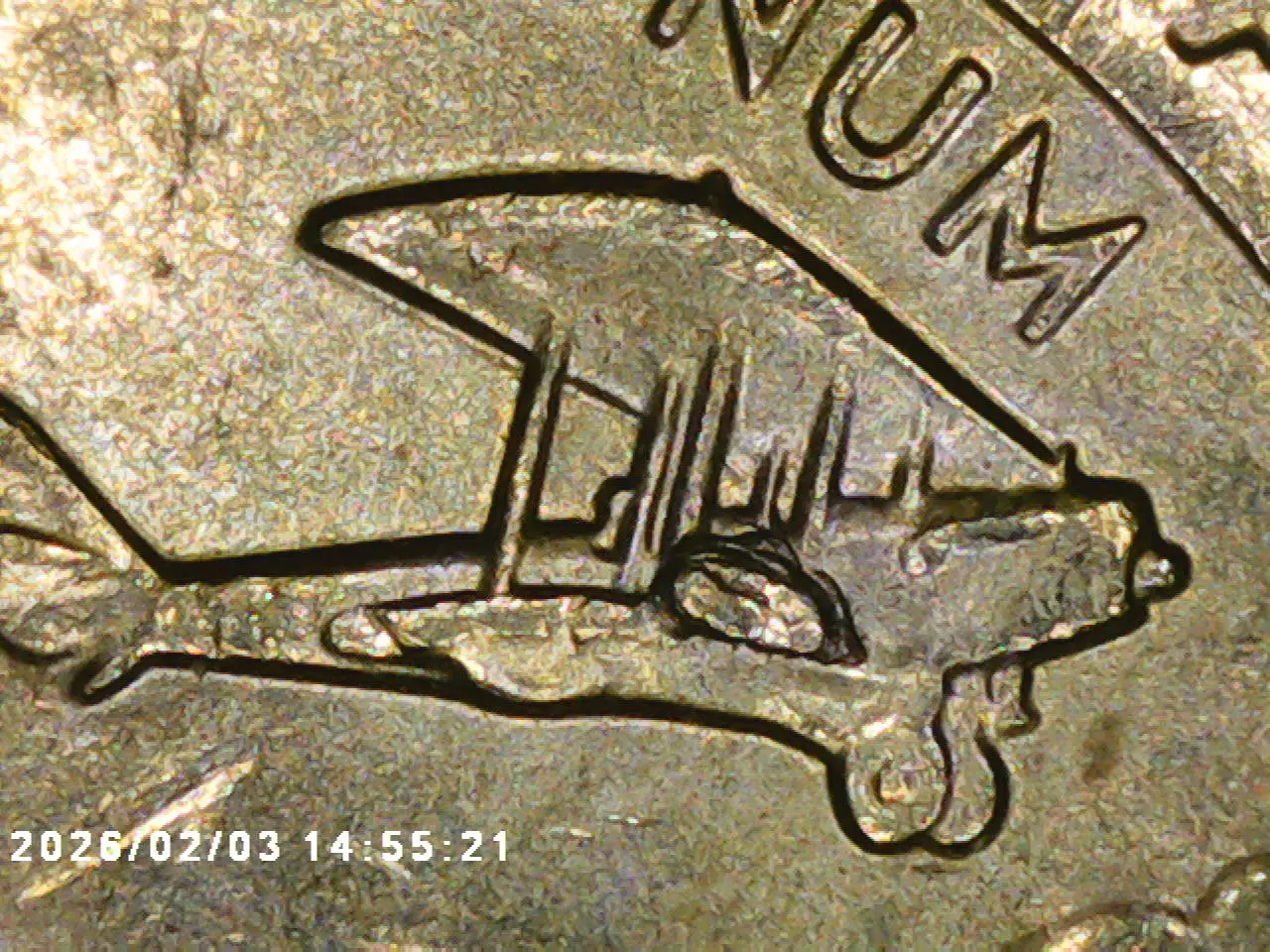 Yldcoin's-Quarter-Roll-Finds