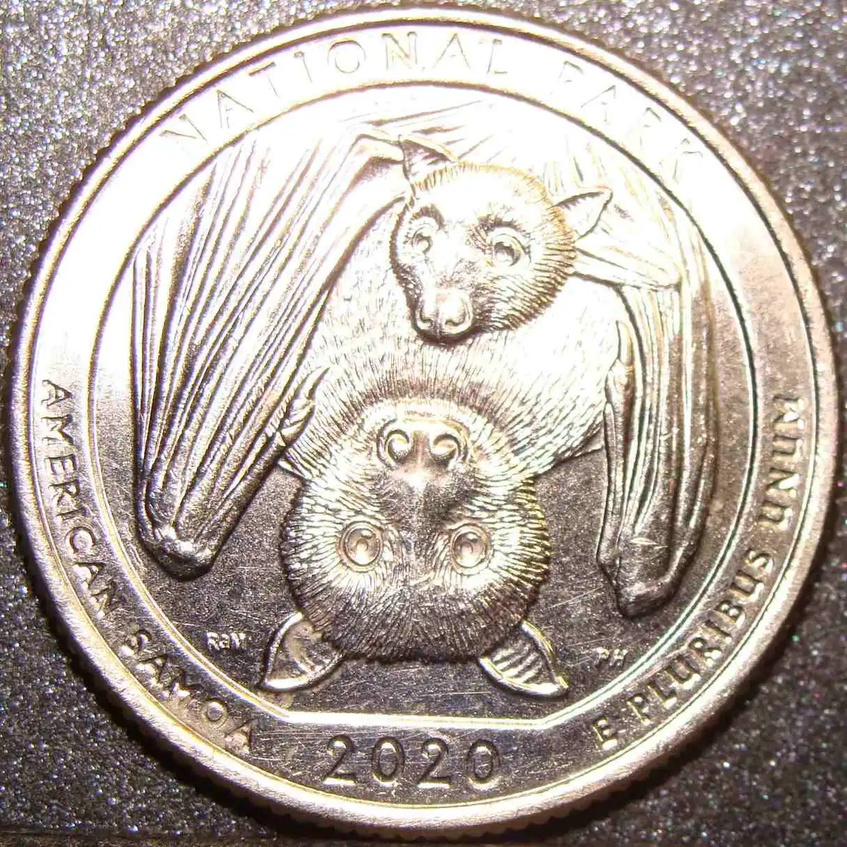 Yldcoin's-Quarter-Roll-Finds