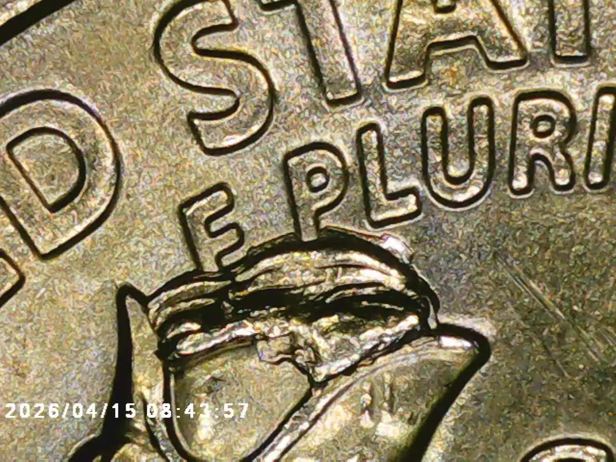 Yldcoin's-Quarter-Roll-Finds