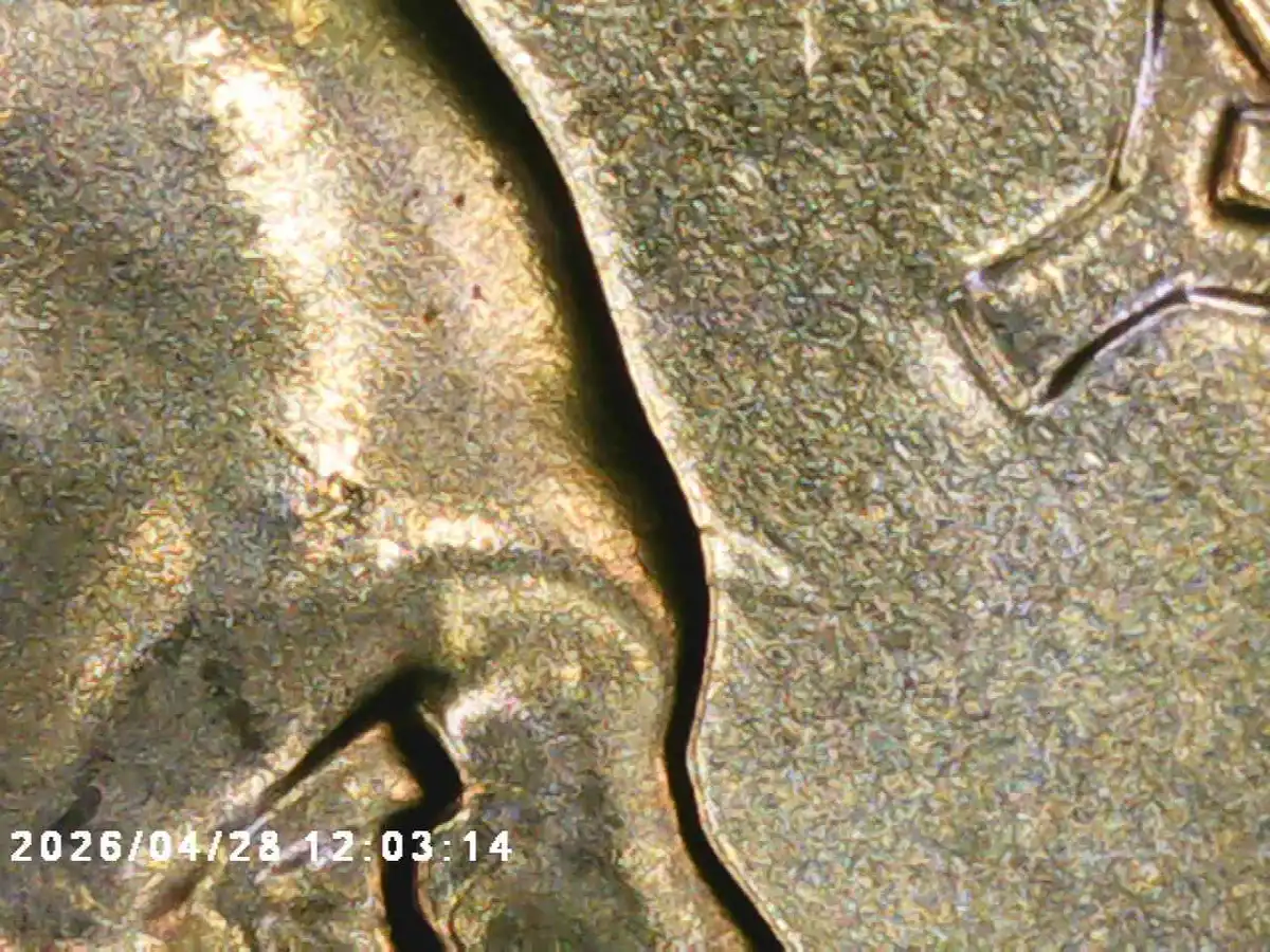 Yldcoin's-Quarter-Roll-Finds