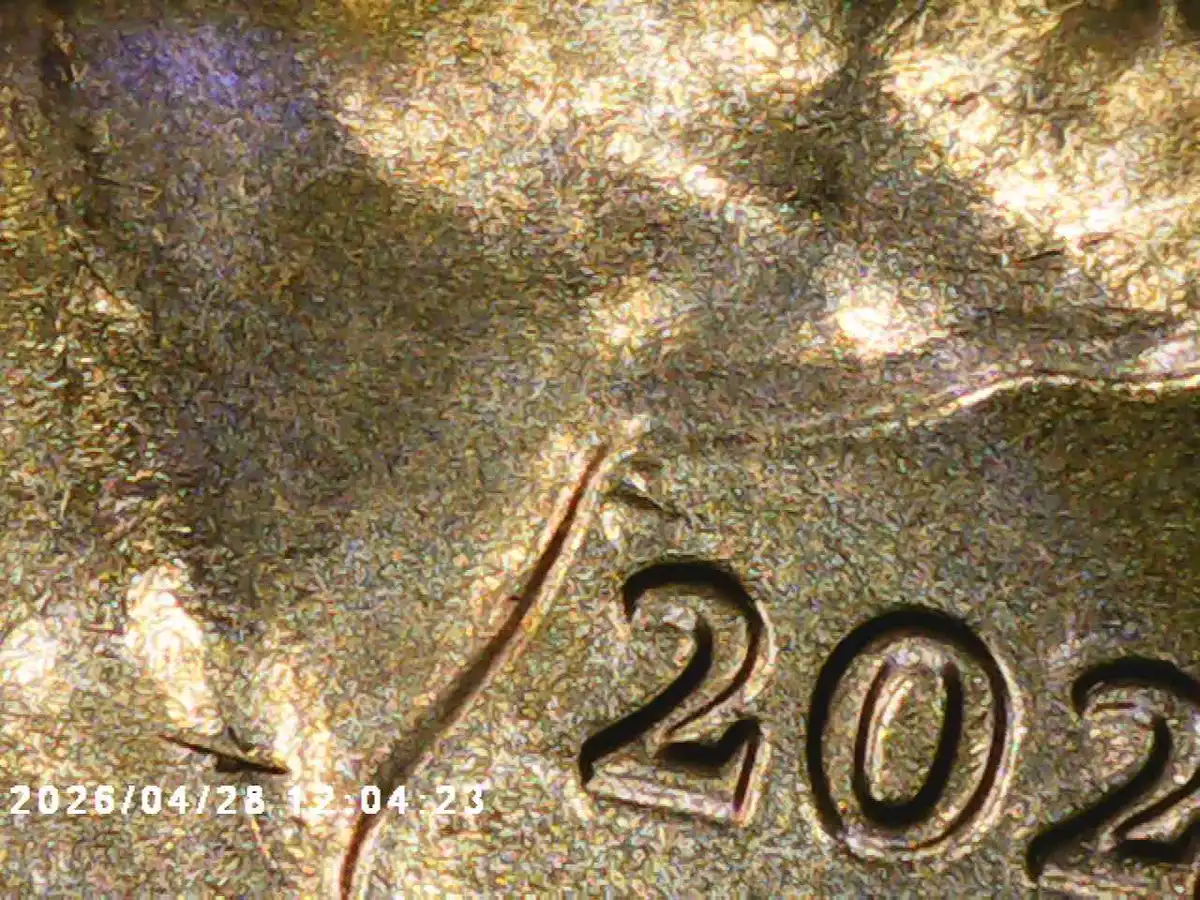 Yldcoin's-Quarter-Roll-Finds