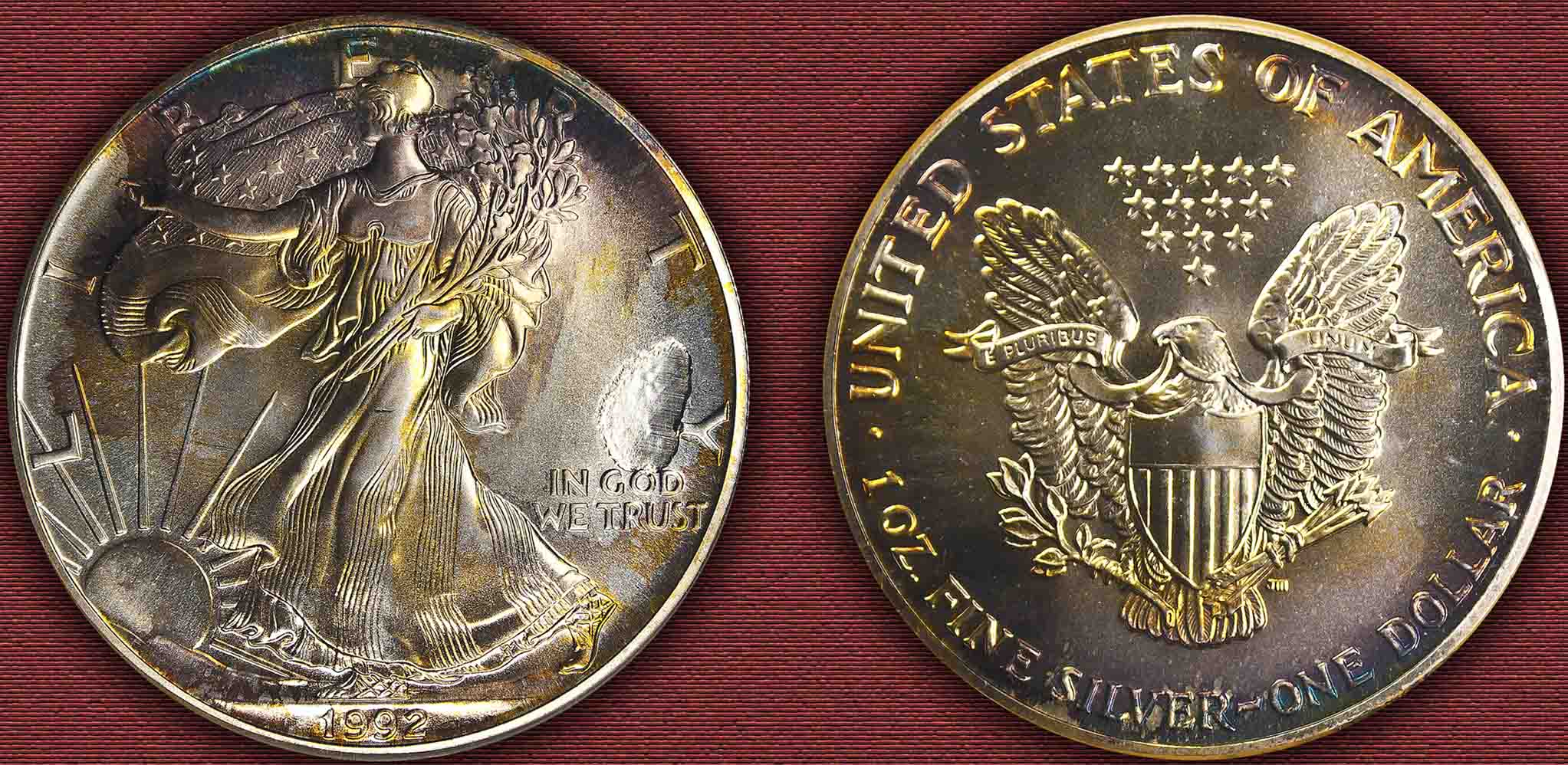 Enjoying-A-Coin-Collection