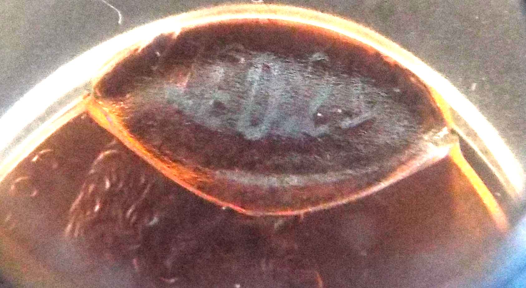 Double-Struck,-With-Indent,-Or-Partial-Brockage?-Your-Opinion-Please.-2000-Cent