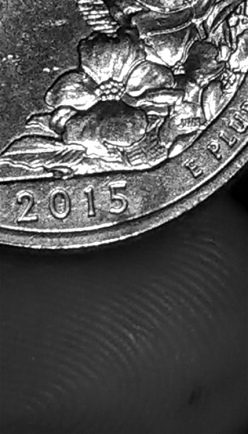 2015-Blue-Ridge-Parkway-Quarter-D