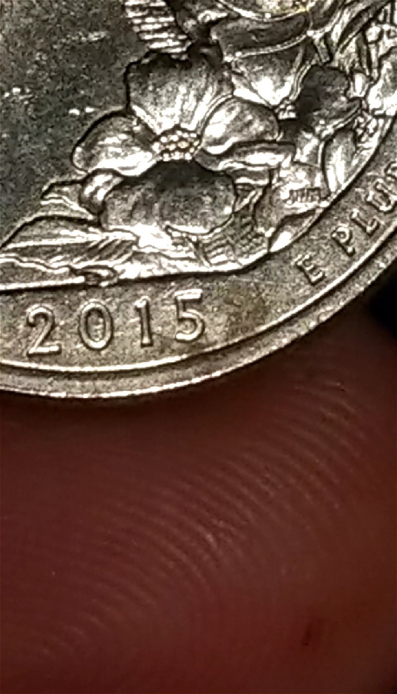 2015-Blue-Ridge-Parkway-Quarter-D