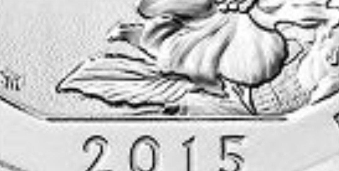 2015-Blue-Ridge-Parkway-Quarter-D