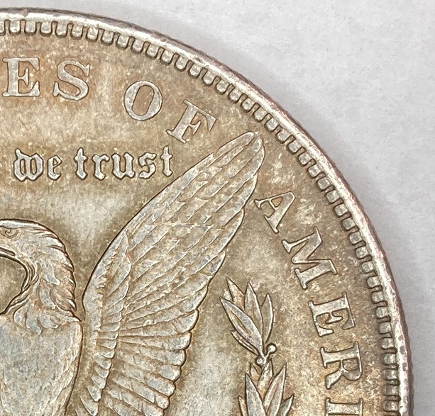 1896-Morgan-For-Grading