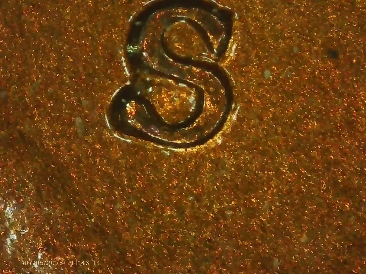 1955-S-Wheat-Cent-Suspected-RPMm-And-Double-Die-Errors-Trying-To-Confirm-And-Identify-Errors