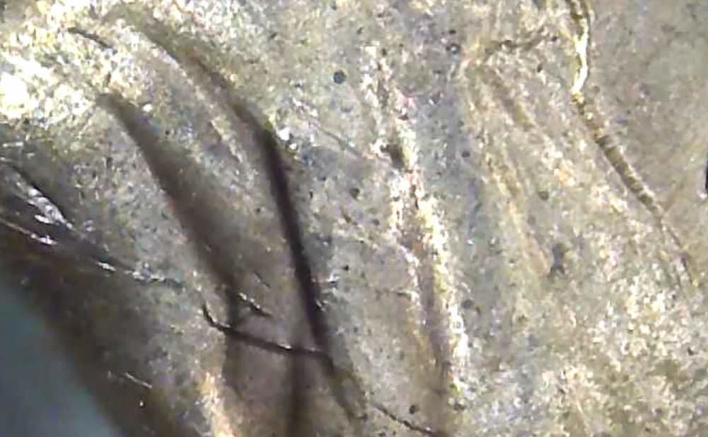 1955-LMC-Multiple-Obverse-Die-Cracks