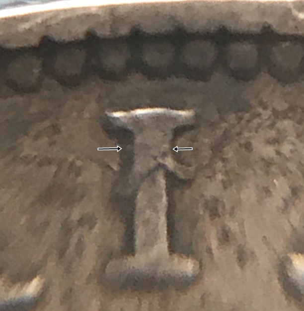 Is-This-An-Error-In-Double-Florin-1890