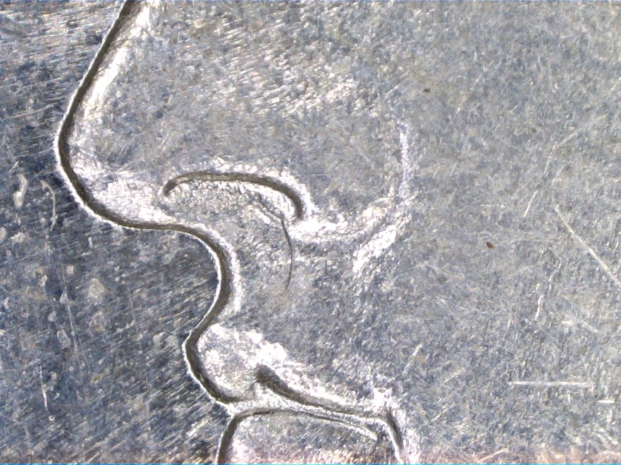 1881-S-Morgan-Dollar-VAM-ID-Help-Needed-Please