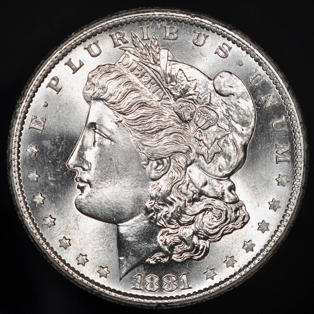 1881-S-Morgan-Silver-Dollar-For-Grading-Opinions