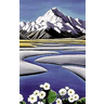 Aoraki's Avatar