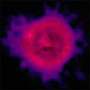 ron_c's Avatar