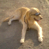 slinus's Avatar