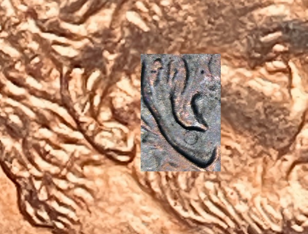 2002-Penny-Is-It-A-Double-Ear?