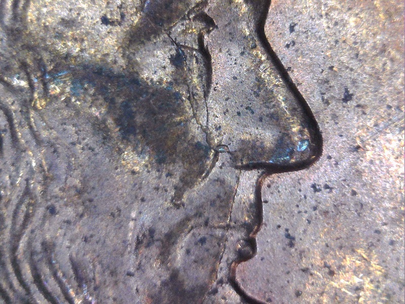 Some-Bank-Roll-Finds.