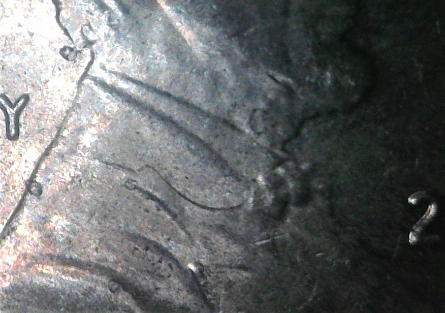 1955-Lincoln-Wheat-Cent.-Another-What-Is-This?