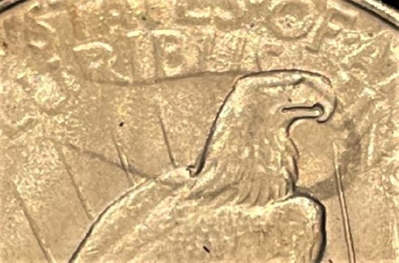 1934-Peace-Dollar---New-Variety?