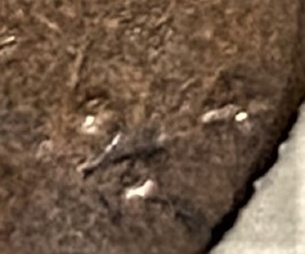 1914-D-Cent-Hard-To-Read-The-Date
