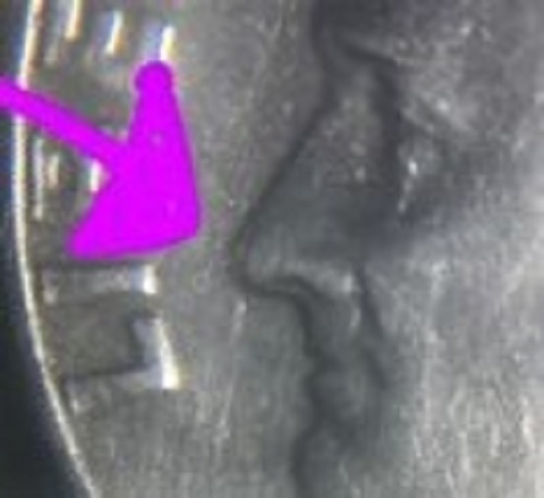 1975-Roosevelt-Dime---Need-Opinion-By-His-Nose-Cant-Tell