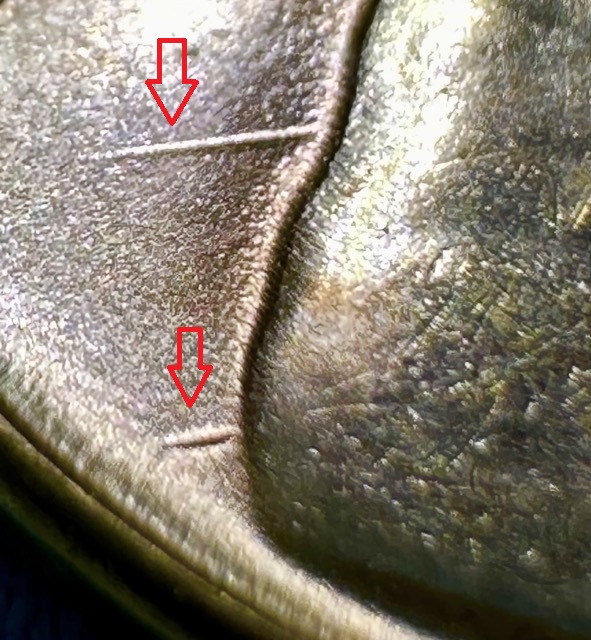 1955-S-Lincoln-Cent-BIE