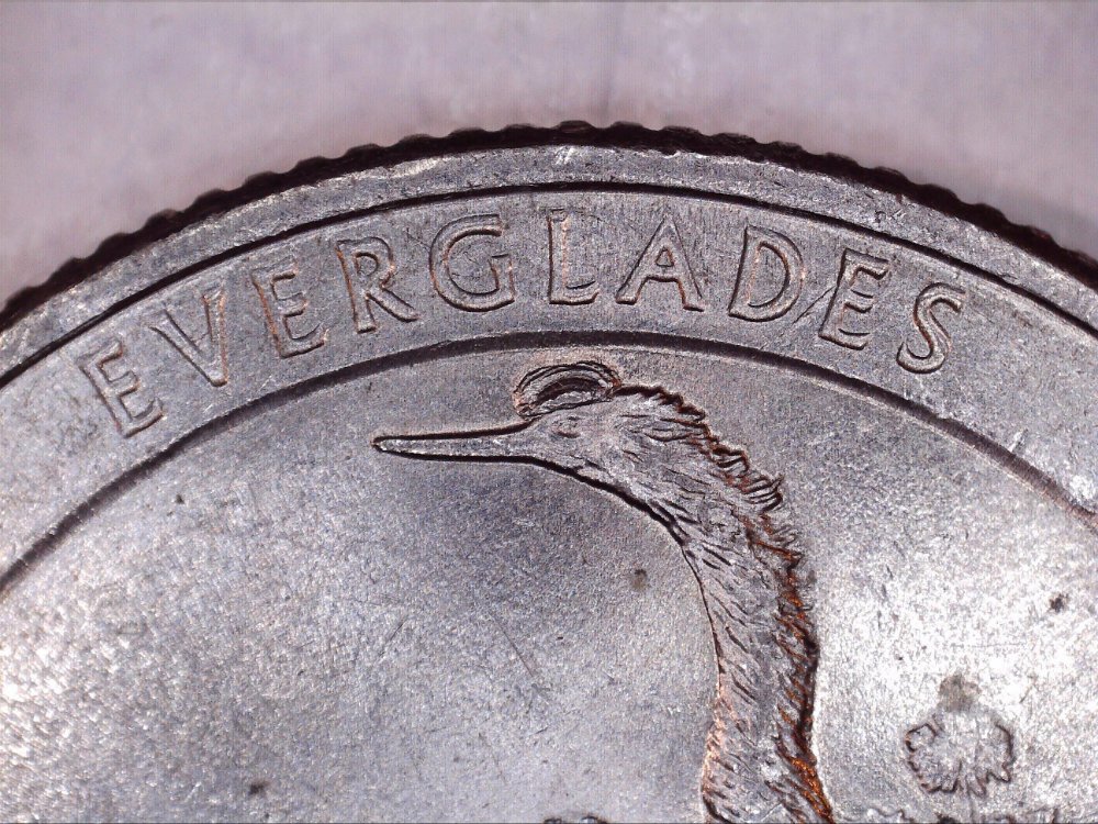 2014-P-Everglades-Quarter-