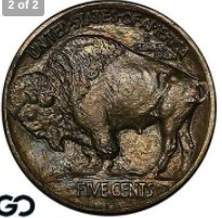 1913-D-Type-1-Buffalo-Nickel-Beauty-Grade-It