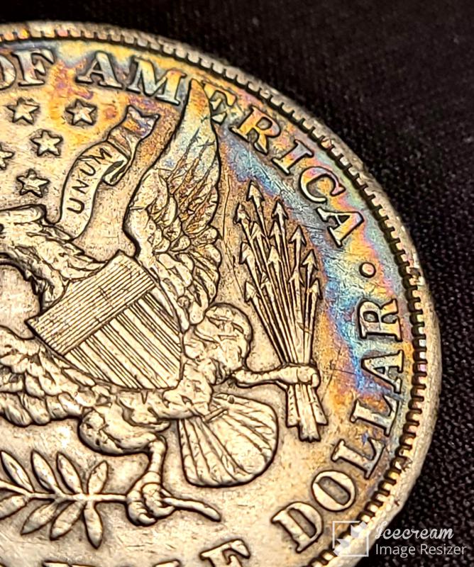 1905-P-Barber-Half-Dollar---Grading-And-Toning-Review