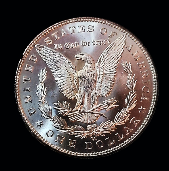 1883-CC-Morgan-From-GSA-Hoard---Need-Grading---Reverse-Is-Beautiful,-Obverse-More-Common.