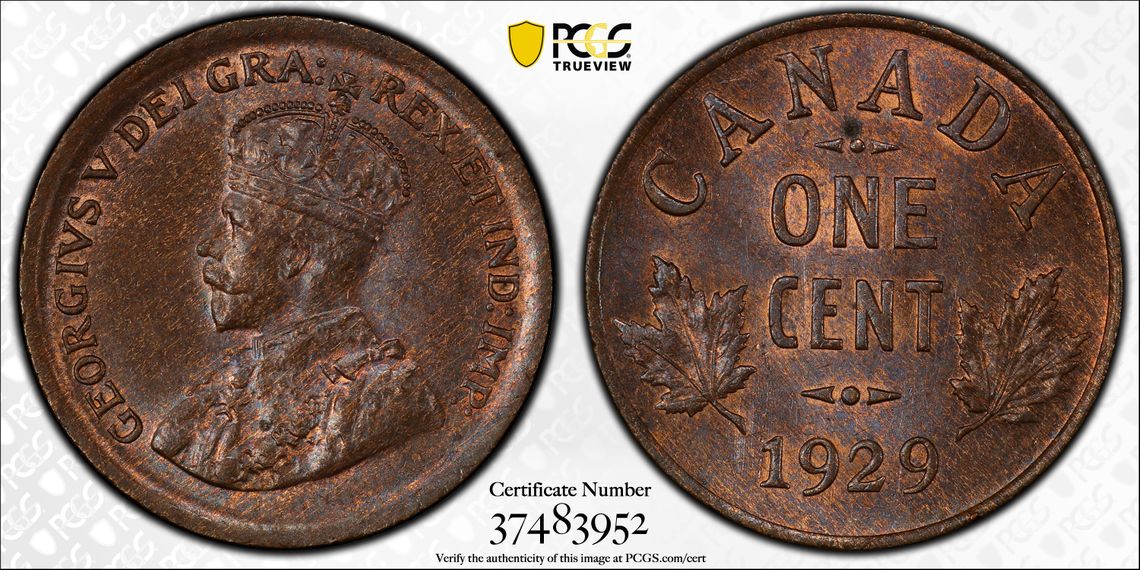 An-Extra-Scarce-1929-Cent-High-9