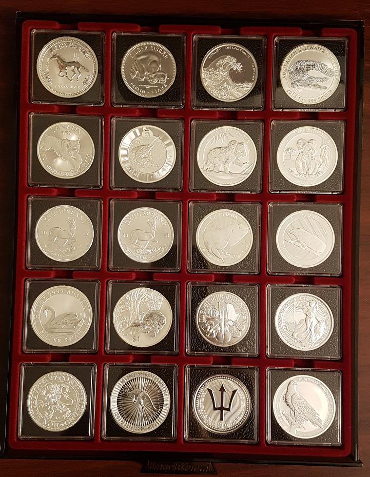 Which-Folders-To-Use-For-Various-World-Bullion?