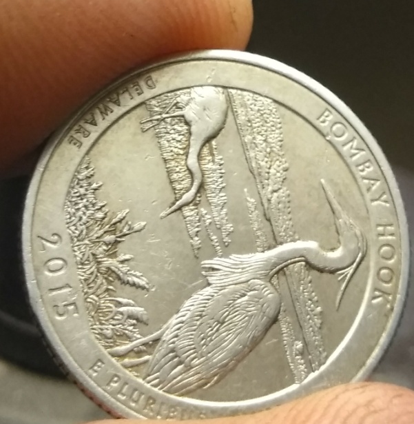 2015-State-Quarter,-Possible-Error