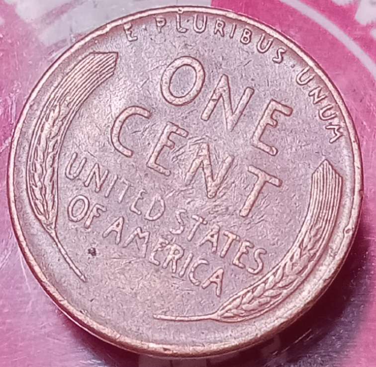 Interesting-Find-From-Circulation