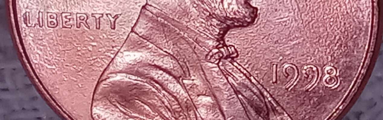 1998-P-1-Cent.-Is-It-A-New-DDO-Discovery?